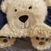NEW Pottery Barn Kids Shaggy Blue Bear