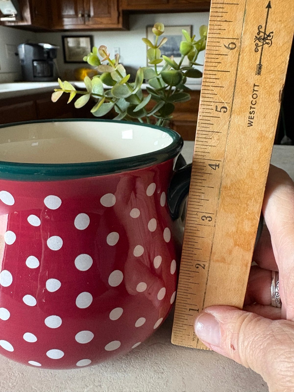 HTF Pioneer Woman retro dot mug