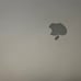 Apple MacBook Pro A1706 13in 500GB