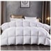 Comforter