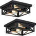 Black Flush Mount Ceiling Light Fixture,2-Light Square Hallway Light Fixtures