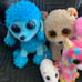 Ty Plush Bundle