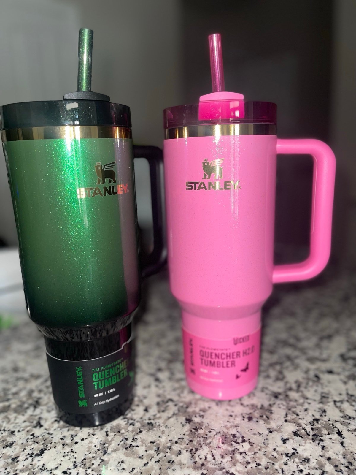 Glinda and Elphaba Stanley 40oz Set!