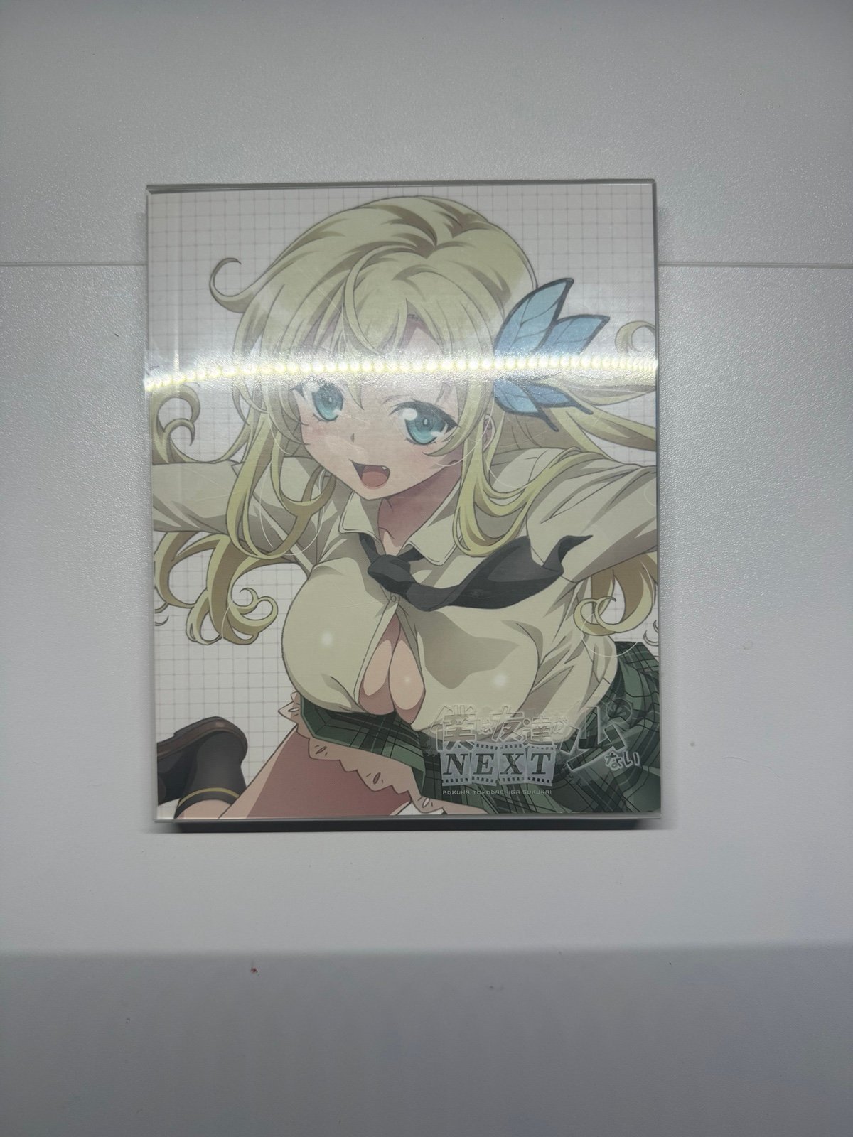 Haganai Original Art Copy Book