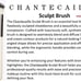 Brandnew Chantecaille brushes set of 6