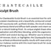 Brandnew Chantecaille brushes set of 6