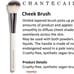Brandnew Chantecaille brushes set of 6