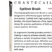 Brandnew Chantecaille brushes set of 6