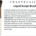 Brandnew Chantecaille brushes set of 6