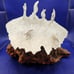 Vintage JOHN PERRY horses riding wave sculpture Drift Burl Wood Base.