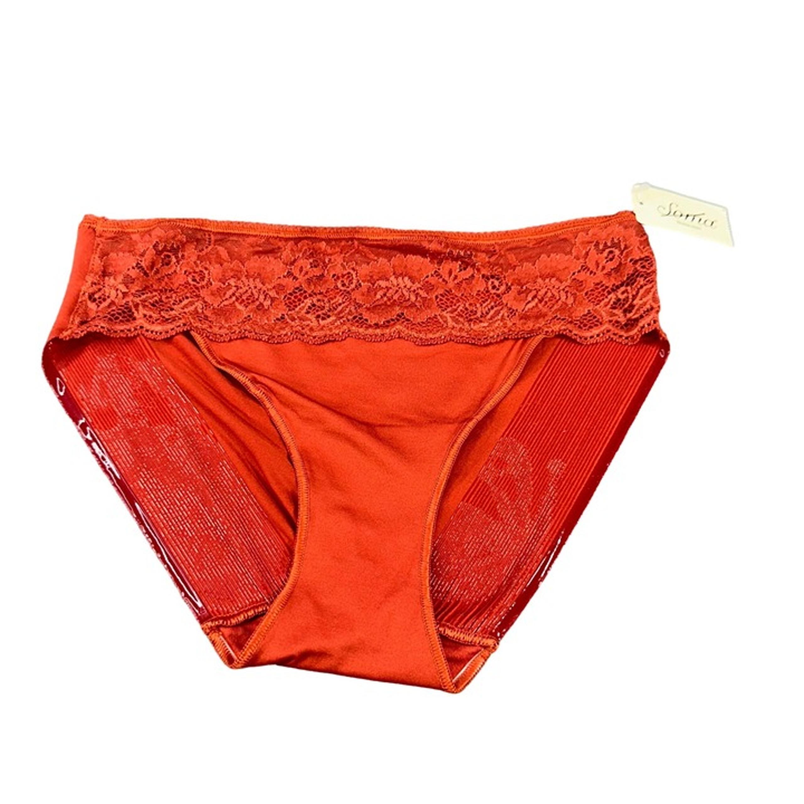 Women's Size Small Panty Hipster Microfiber Lace Waistband Red Ochre New - Soma