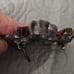 Belt Buckle country