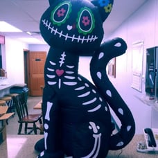 4Ft Halloween Inflatable Cat Decoration Outdoor Halloween Blows Up Spooky