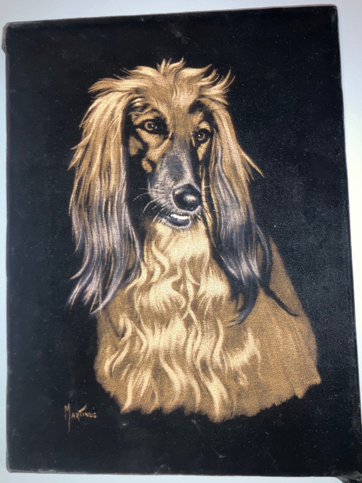 Afghan Hound Velvet Realistic Portrait Dog Painting Signed Martinus