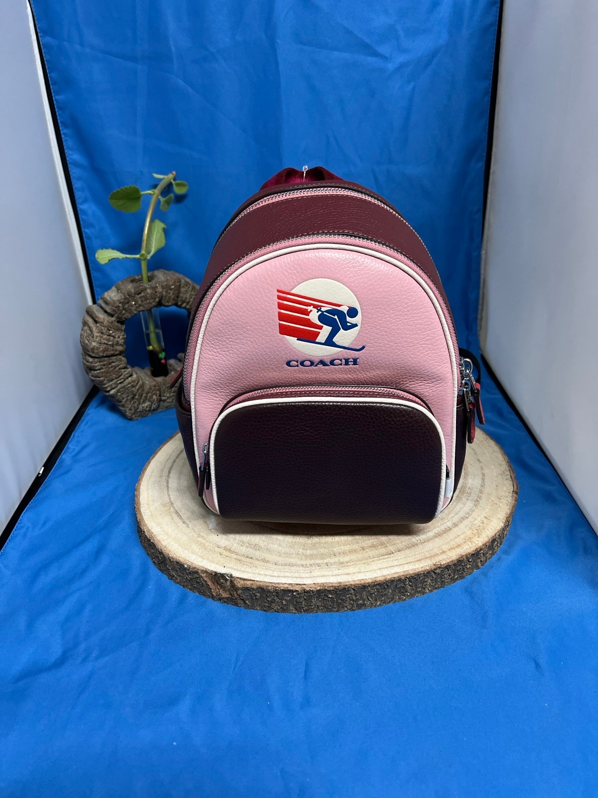 Coach backpack multi
