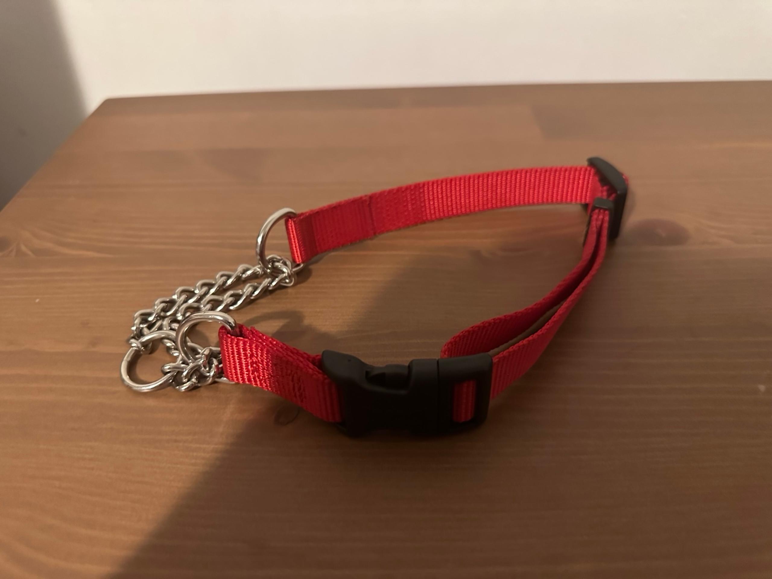 Coastal Dog Collar