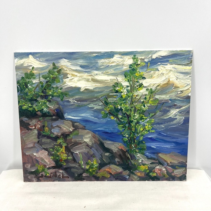 Original Artwork Study 11”x14” Oil Canvas Panel Sea Forest Tadeusz Seidel