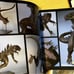 The Art of Godzilla G・M・MG Set