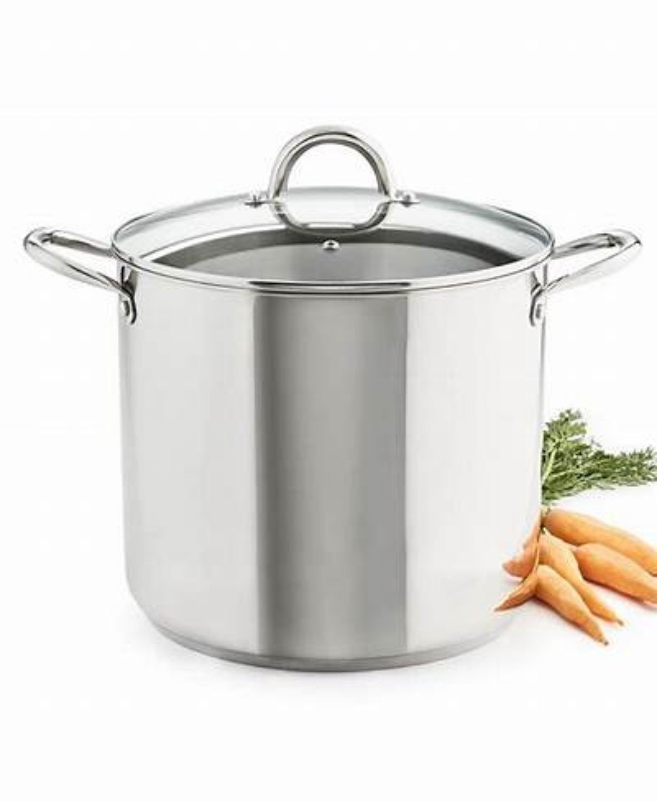 Sedona Pro Stainless Steel 16-Qt. Stockpot with Glass Lid