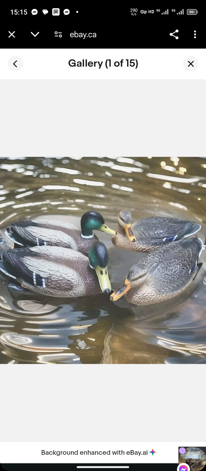 G&H vintage decoys 24 Mallard Ducks Hens & Drakes 18 With Weights & bag.