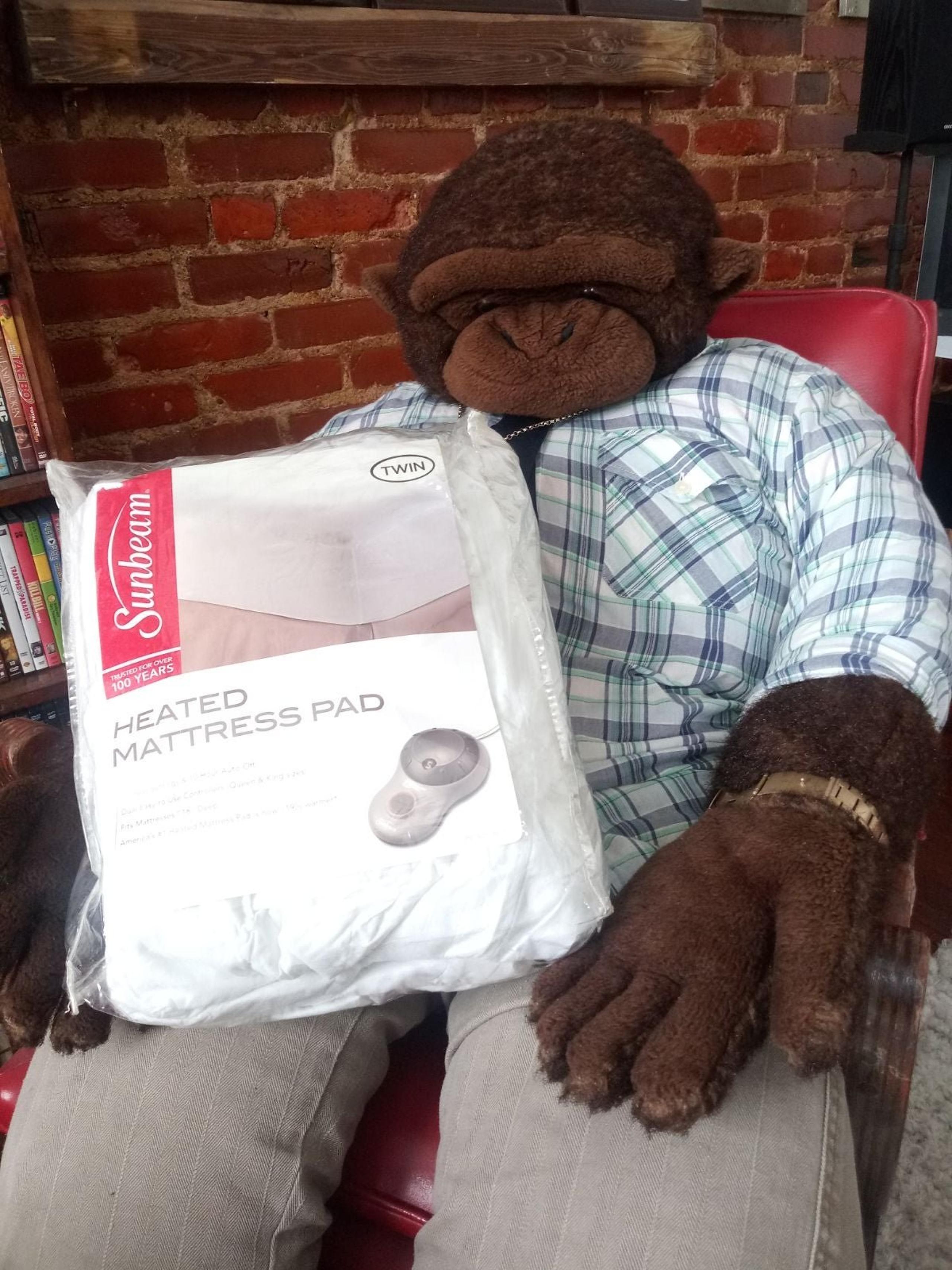 Mattress Heating Pad Retail $65