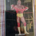 Hulk Hogan WWE Chronicles 2023 Gold insert Action packed