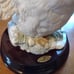 Giuseppe Armani Florence Swan Open Wings Figurine (1973) Very rare find.