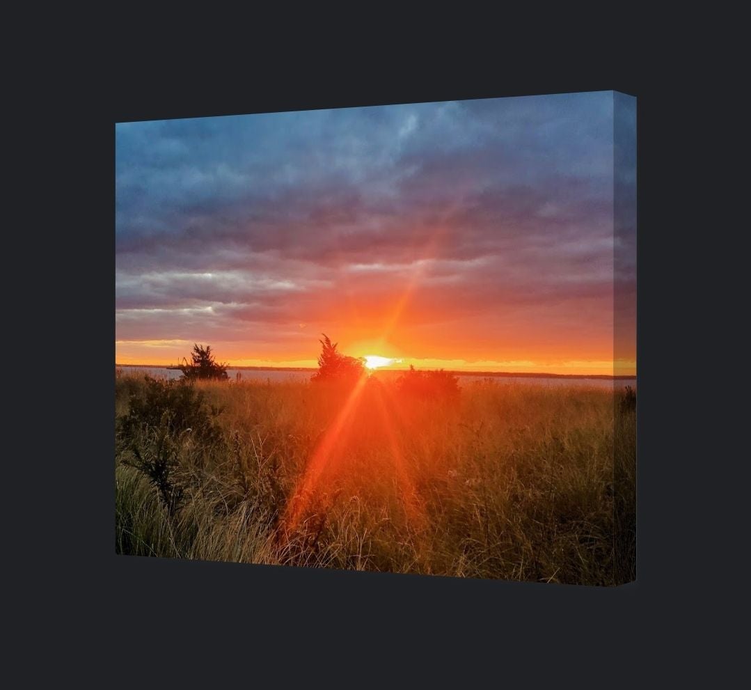 11x14 Google Canvas Photo New