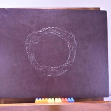 Skyrim Elder Scrolls The Improved Emperor’s Guide to Tamriel Leather Art Book