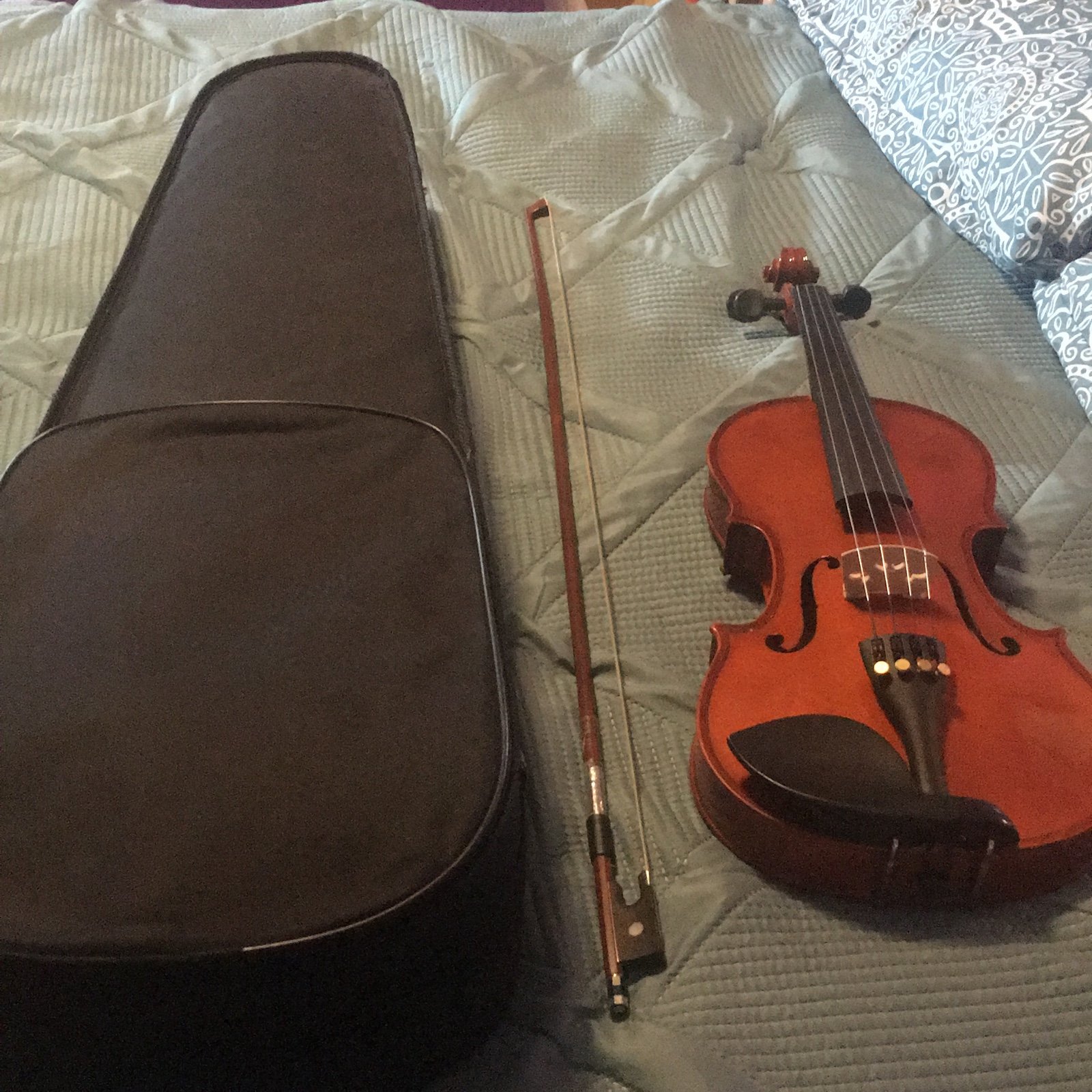 Violin