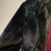 Blank NYC Faux Fur Coat