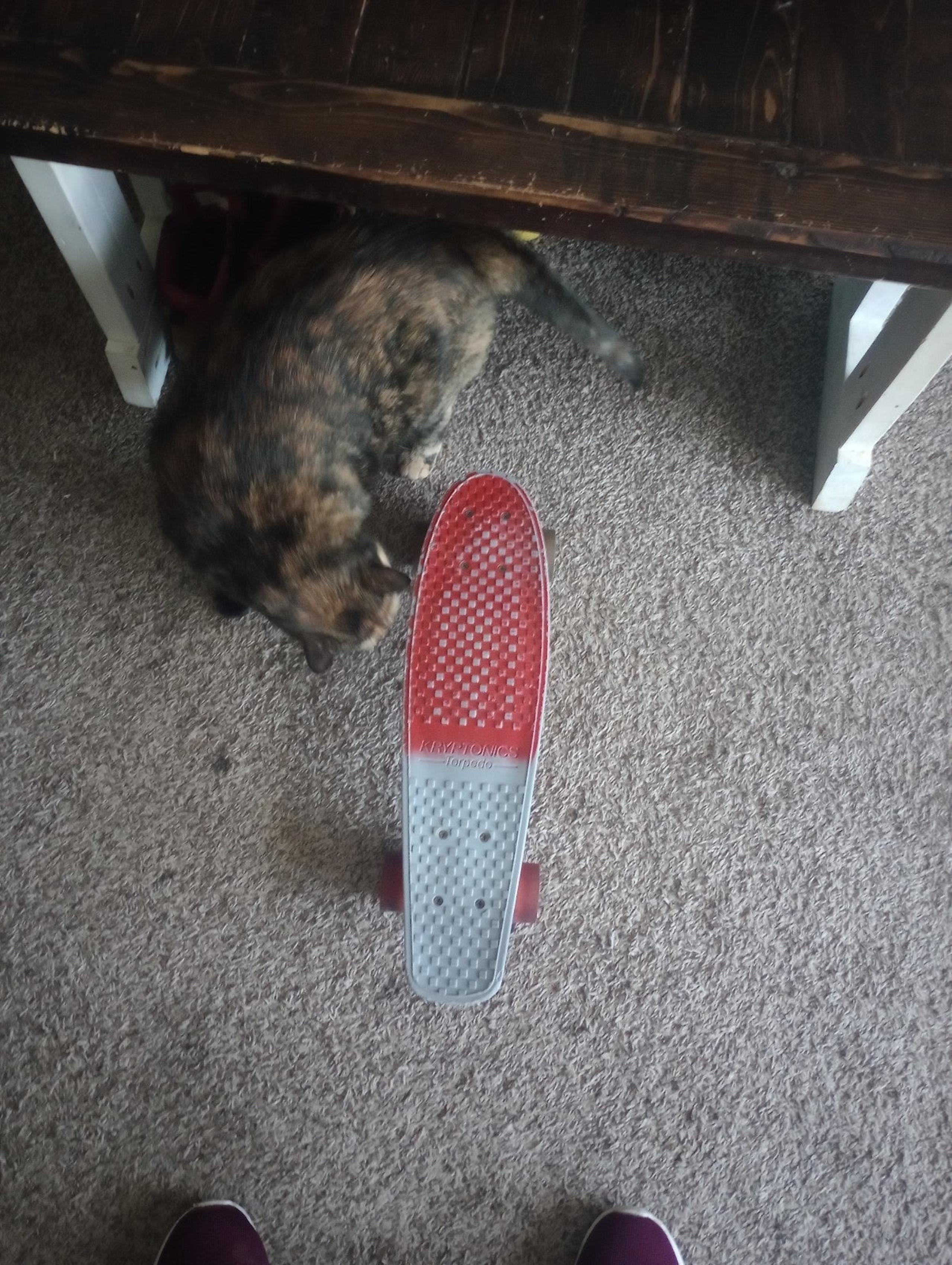 Kryptonics 1965 red/grey checker board used