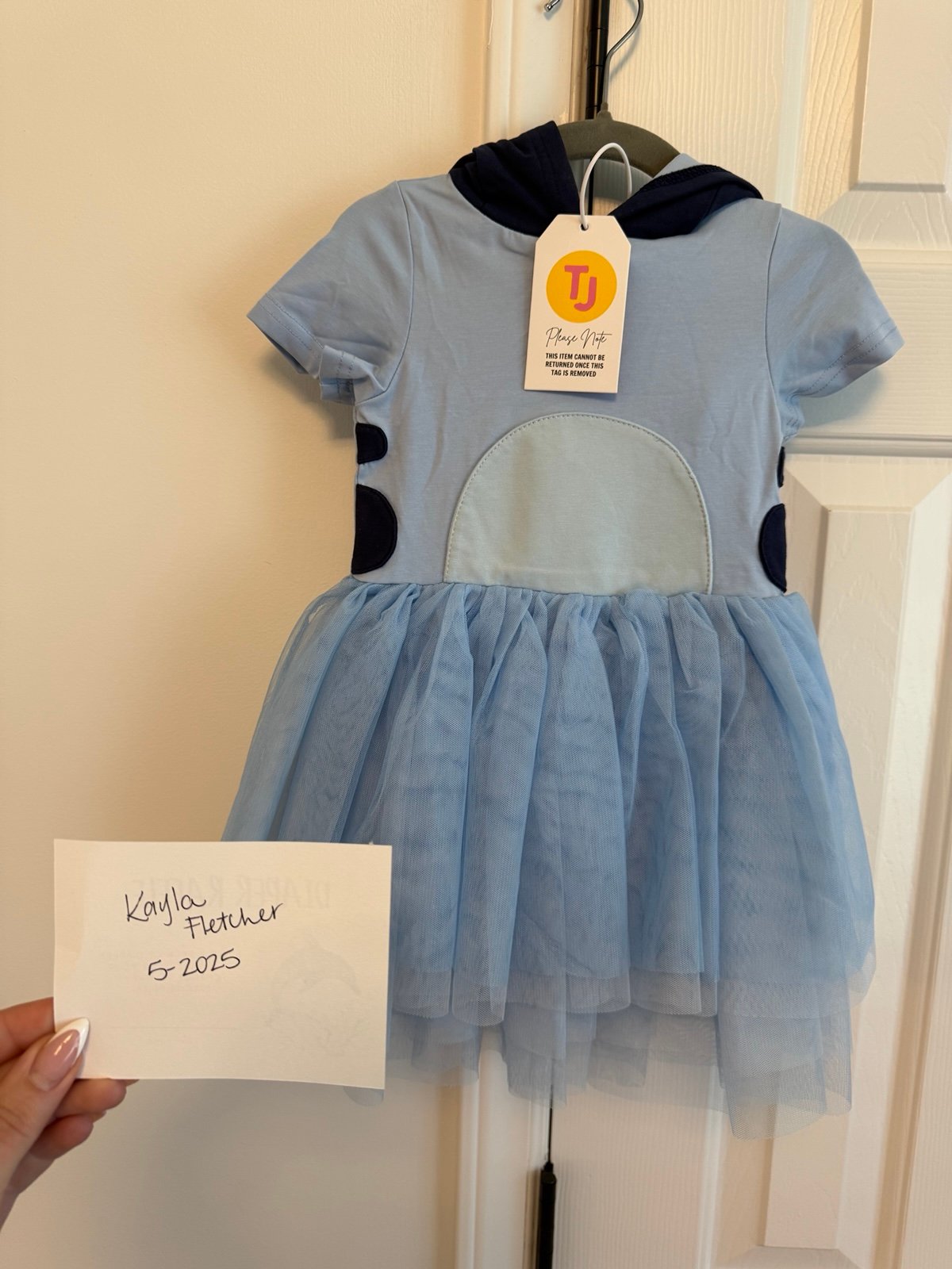 Taylor Joelle bluey dress