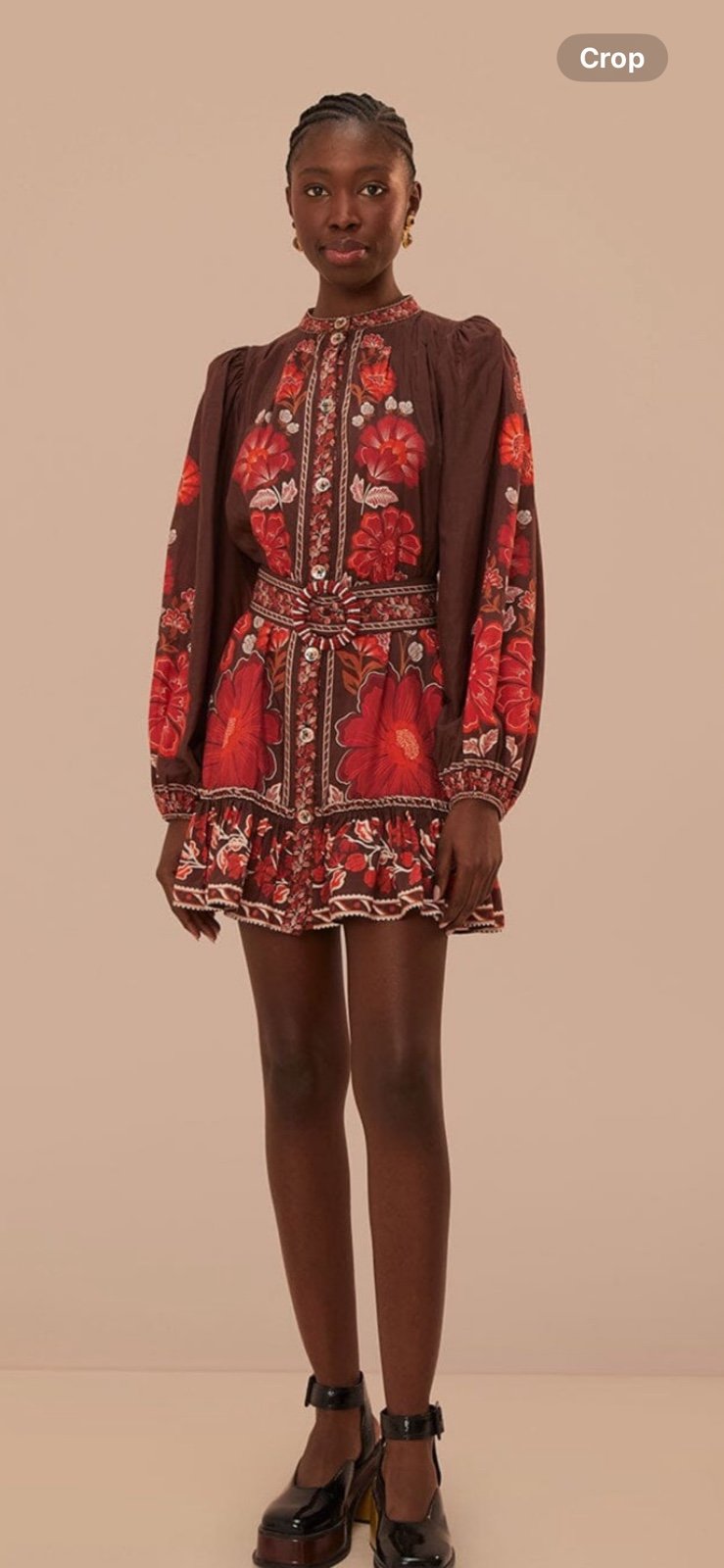 NWT Farm Rio size Small Gigi tapestry dress
