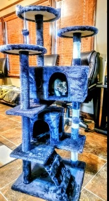 54in Cat Tree Tower for Indoor Cats,Multi-Level Cat Furniture Activity