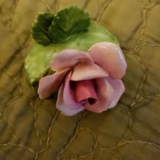 capodimante rose figure.