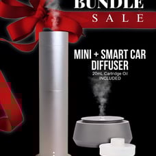 Aroma360 Mini PRO Diffuser / Silver or Black + Smart Car Diffuser W/ TOP SCENT
