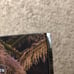 Loona & AND PTT Paint The Town 12:00 Why Not official kpop album photocard NO PC