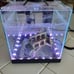 3 gallon Fish Tank with LED lights