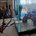 3 gallon Fish Tank with LED lights