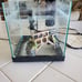 3 gallon Fish Tank with LED lights