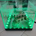 3 gallon Fish Tank with LED lights
