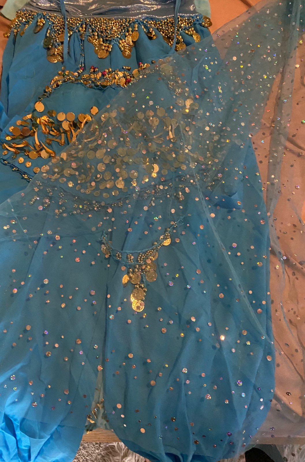 aladdin costume/jazmine costume in women