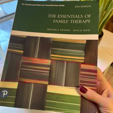The Essentials of Family Therapy 7th Edition
