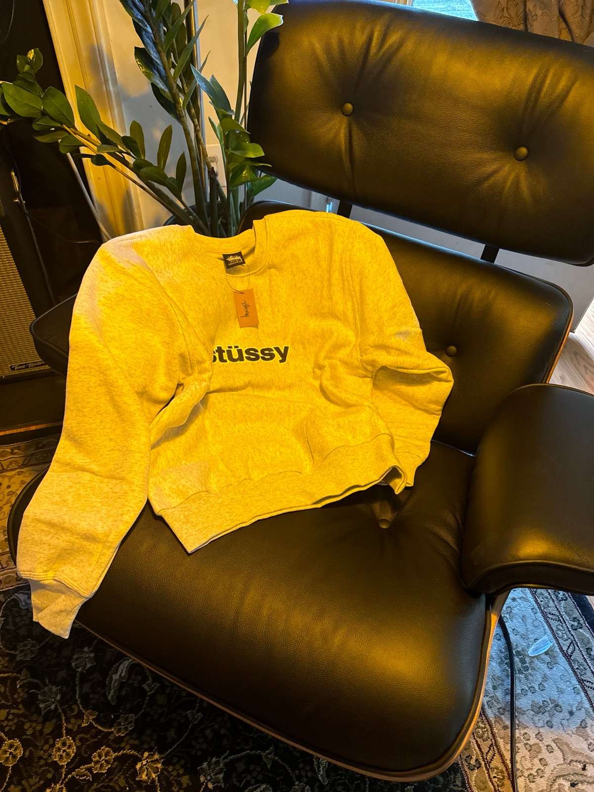 STUSSY FW23 SS-Link Crewneck size Small, Brand New!