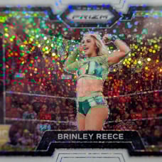 2024 Panini Prizm WWE WHITE SPARKLE SSP CARD Brinley Reece #36 NXT ROOKIE