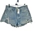 AGOLDE Parker Vintage Cut Off Short in Swapmeet Size 28 NWT