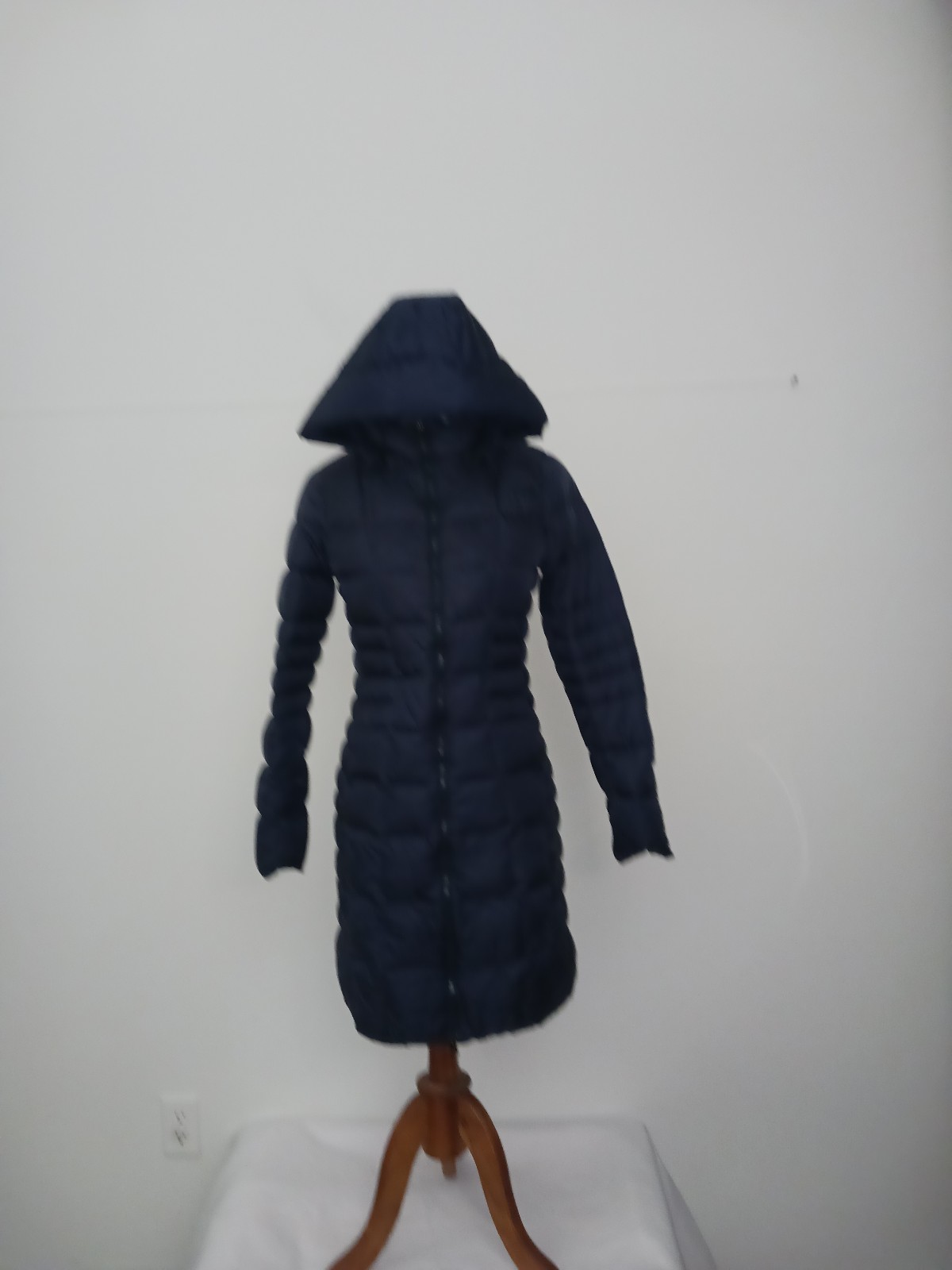The north face long puffer jacket