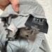 BYLT active jogger