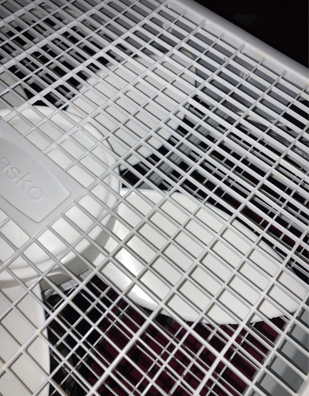 Lasko Fan